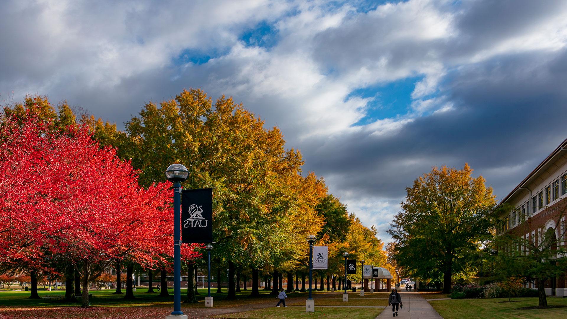 Fall photo of Campus