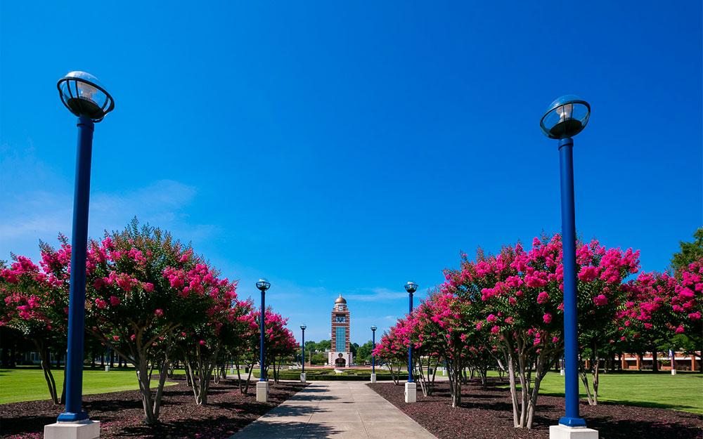 UAFS Bell Tower is in the background. Image follows the path in the campus green with pink crepe myrtles on either side